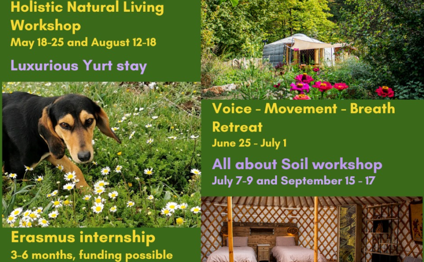 Holistic Natural Living Workshop May 19-25 and August 12-18 Luxurious Yurt stay Voice - Movement - Breath Retreat June 25 - July 1 All about Soil workshop July 7-9 and September 15 - 17 Erasmus internship 3-6 months, funding possible April - October More info: www.liveloula.eu